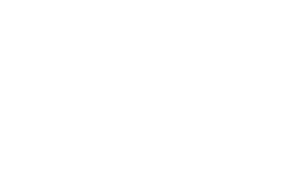 Essential Building And Pest Inspections